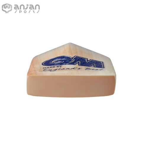 GM Brava 909 English Willow Cricket Bat